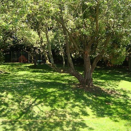 The White Horse View B&B Shrivenham Dış mekan fotoğraf